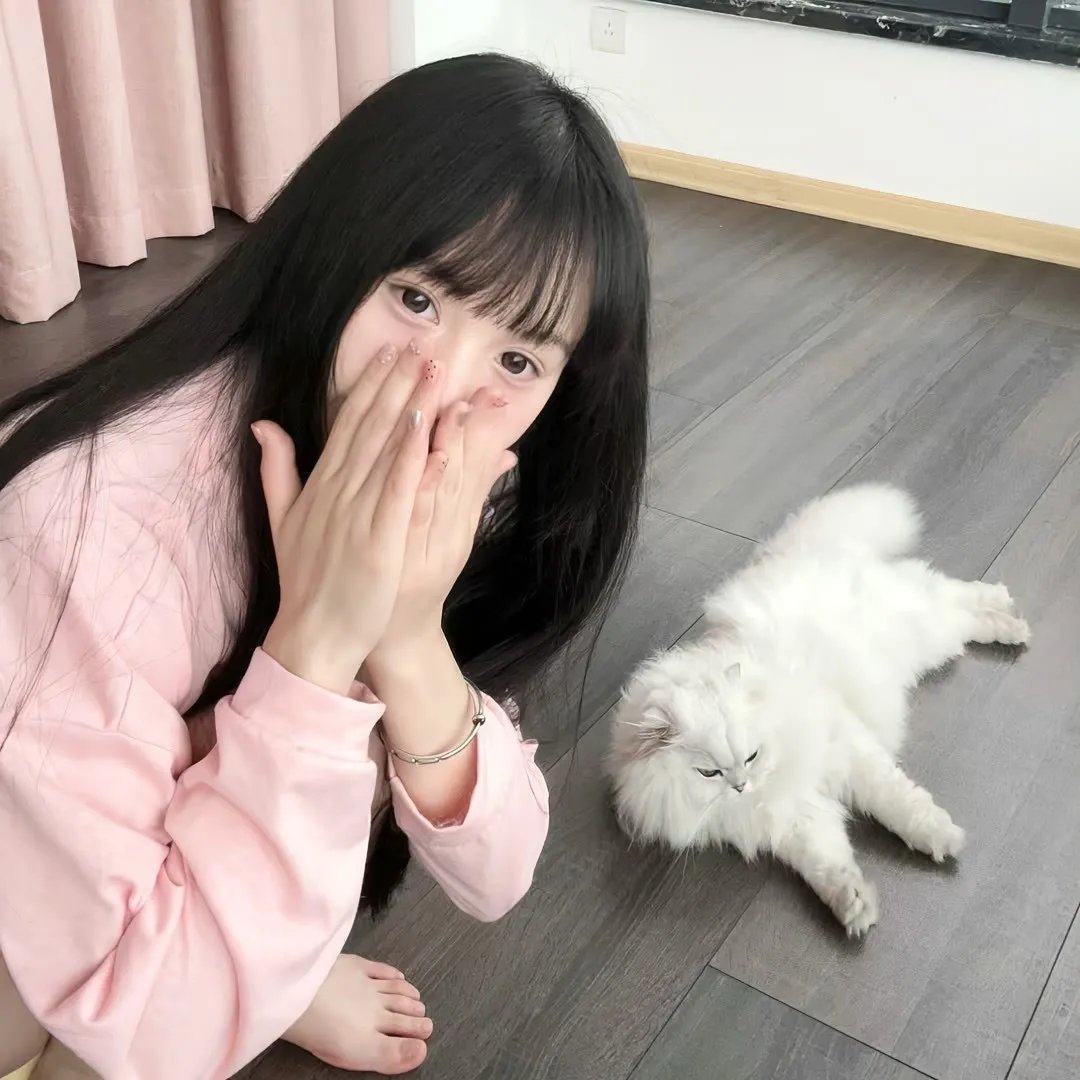 草台班子：套路奇兵